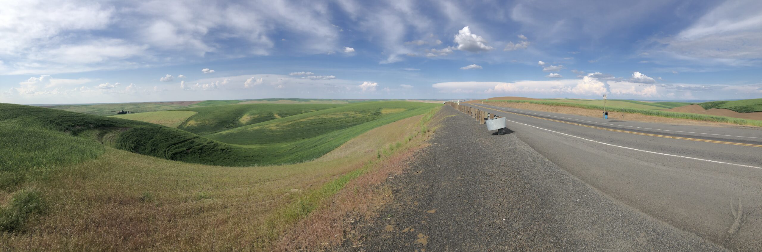 A road running through the rolling green hills of Eastern Washignton's Palouse in the springtime.
